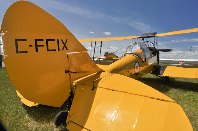 Tiger Moth and Harvard Mk. IV