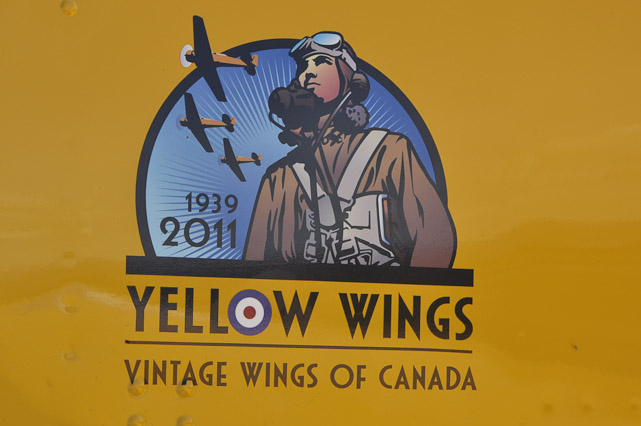 Yellow Wings Logo